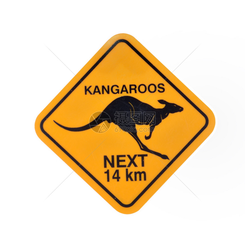 考拉绘画控制板Australia路牌警告白背景孤立的考阿拉斯图片