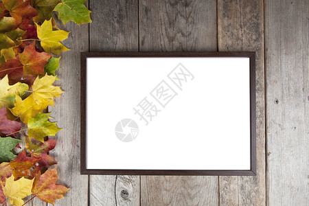 秋叶边框背景图片