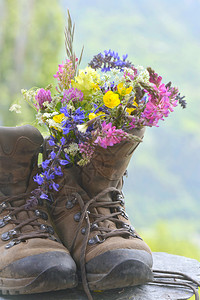 靴子里装着花朵图片