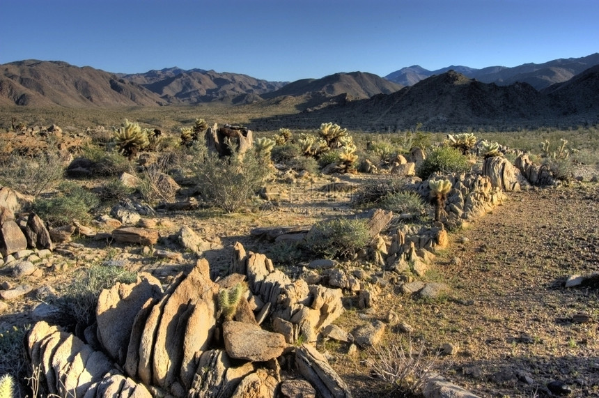 美国沙漠景观里德米勒状态图片