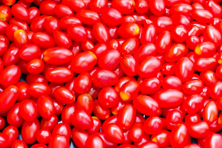 红色的小西红柿背景图片