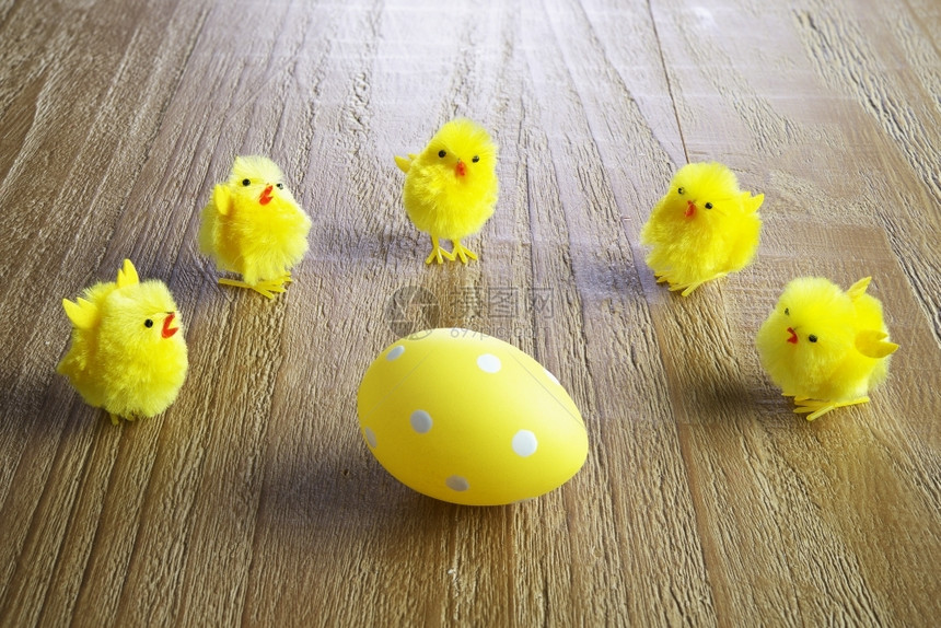 桌子假期木制背景中的黄色复活节彩蛋和鸡小图片
