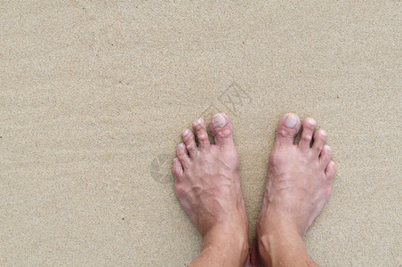 夏天安宁热带沙纸脚图片