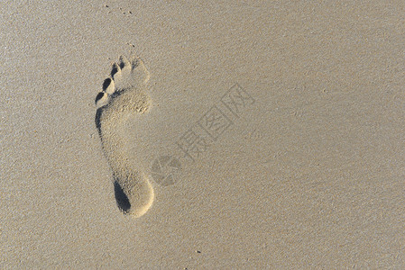 打印假期沙丘足迹的顶部视图脚印图片
