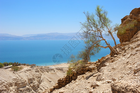 岩石水EinGedi保留地区犹太山坡上死海的景象6105朱迪亚图片