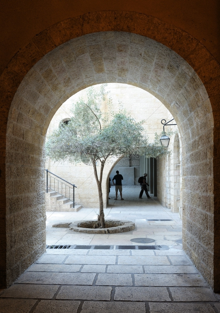 耶路撒冷旧城的碎片这条街上有一座拱门院子有一棵树以色列老的城市图片