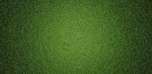 下垂的草皮草质背景3d场地人造的绿色设计图片