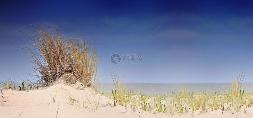 大西洋天空海边美丽的全景观光与草的沙丘相隔自然图片
