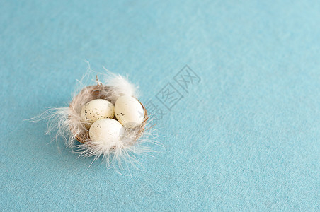 白色的鸟填充一个满小白蛋的巢图片