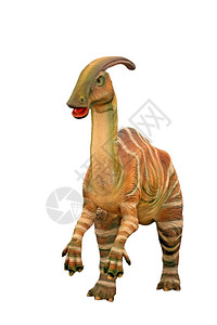 侏罗纪凶恶的恐龙作为孤立物体恶毒怪背景图片