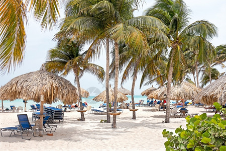 放松加勒比海阿鲁巴岛棕榈滩加勒比阿鲁豆自然图片