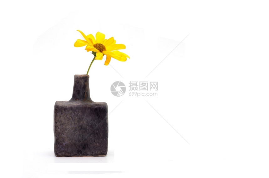 白上孤立的旧花瓶中单黄色朵的植物家图片