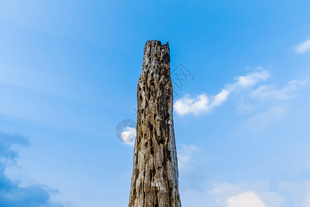 空白的木制蓝色天空和云彩的木杆景观图片