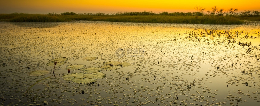 非洲博茨瓦纳乔贝公园Chobe河上的日落门户14自然超过图片