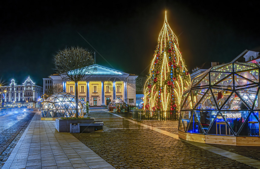夜晚户外广场上的圣诞树图片