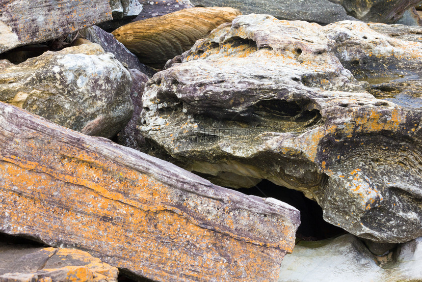 灰色的澳大利亚悉尼淡水湾的罗克形成中颜色和态澳大利亚悉尼岩石一种图片