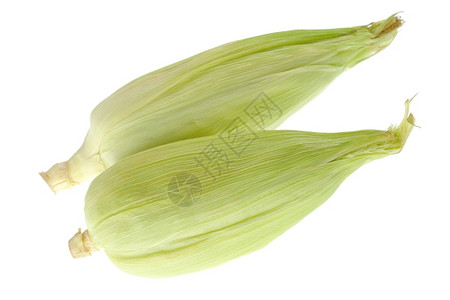 二个玉米背景图片