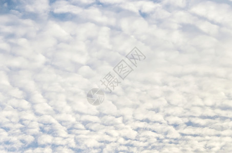 大气层户外蓝色的天空与白花云蓬松图片