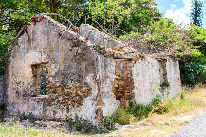 破旧的树木IlesDesPines的房屋废墟新喀里多尼亚索特太平洋松树图片