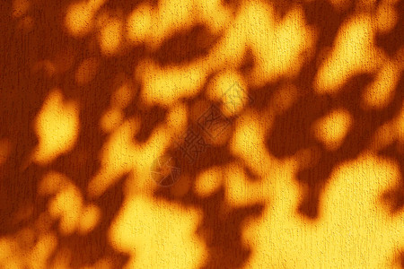 热质地天一棵树上有阴影的房屋橙色墙背景和纹理结构背景图片