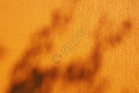 石膏墙夏天一棵树上有阴影的房屋橙色墙背景和纹理结构天晴设计图片