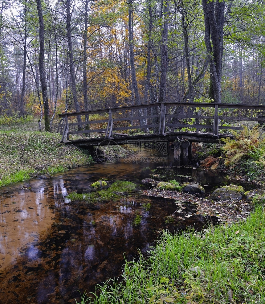 透明一种在迷雾秋天森林小溪上的桥水图片