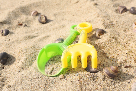 儿童树木头玩具铁铲和用弹在沙地中咆哮耙夏天海图片
