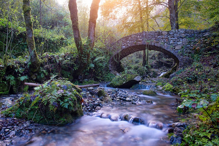 秋天树林里的一条小溪和古老的岩石桥背景图片