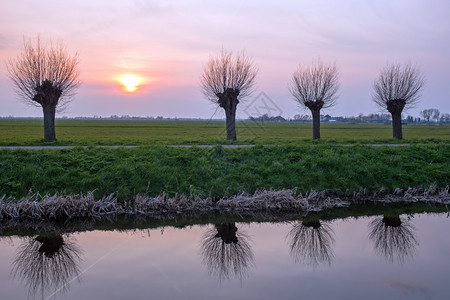 水荷兰语日落时在达屈风景中耕种柳树一图片