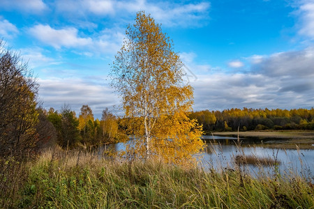 秋天的湖景图片