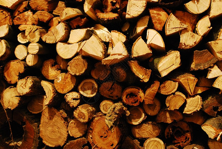 日志树木力量关闭等待冬季的柴堆火图片