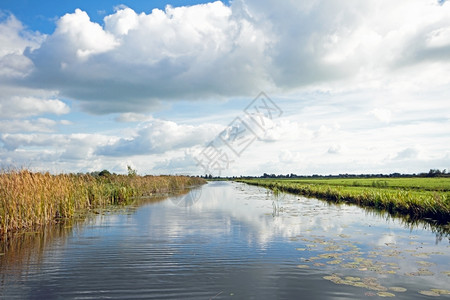 农村自然运河带草地水和云面的典型宽广荷兰湾风景图片