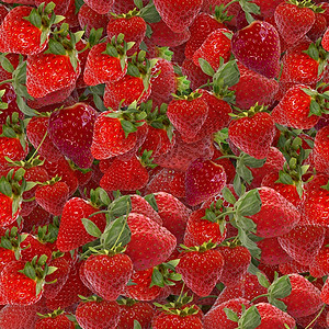 消耗喝草莓02蒙克图片