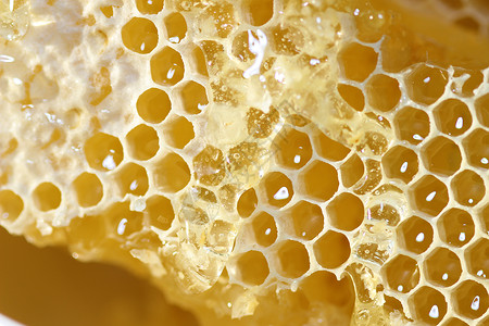 药用可口带液体蜂蜜的宏片背景图片