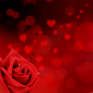 心形红玫瑰和方灯背景浪漫的情人节花图片
