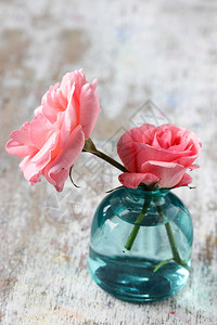 锅木制的花瓶里玫瑰绿色图片