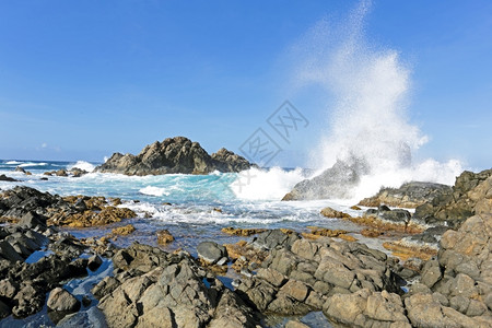 加勒比海阿鲁巴岛北岸洋荒野图片