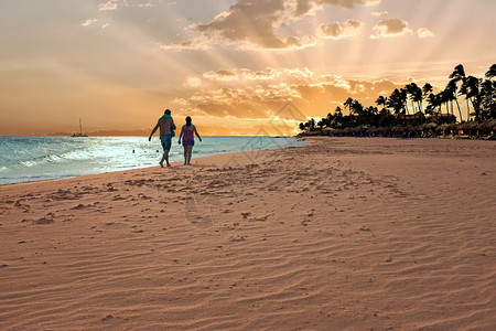 加勒比海阿鲁巴岛的德伊夫海滩日落户外环境暮高清图片