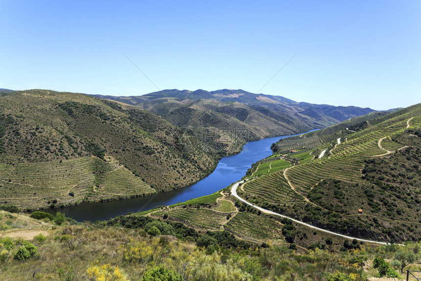 葡萄牙杜罗河谷低海拔的心碎山河流和葡萄园梯田的宏伟景象低农业葡萄酒图片
