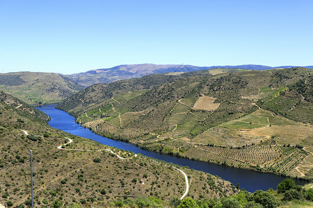农业丘陵葡萄牙杜罗河谷低海拔的心碎山河流和葡萄园梯田的宏伟景象华丽图片
