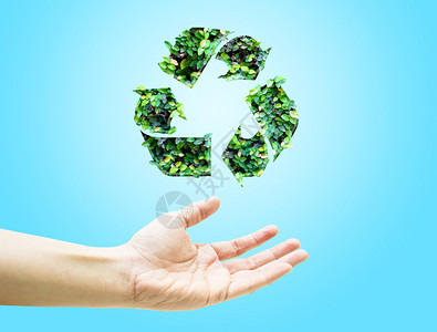 在浅蓝色背景上用绿叶回收图标打开的手环保活力树叶图片
