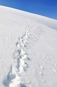 雪山上的脚印图片