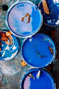 画家颜色蓝油漆和刷子水桶的顶部视图图片