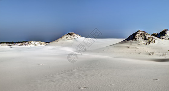 沙丘穆斯基兹国家的靠近高清图片