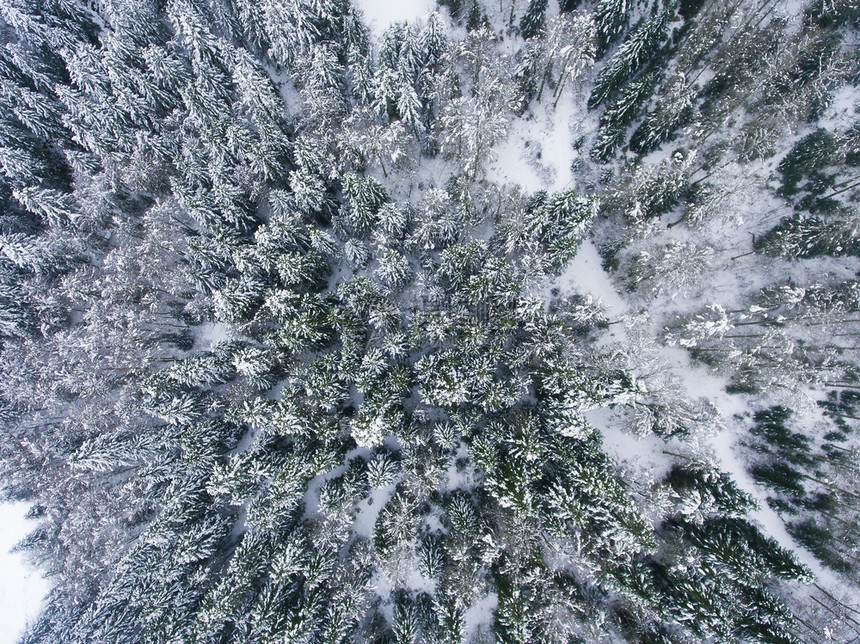 冬日雪景风光图片