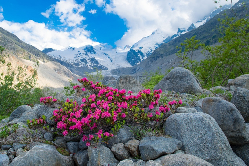 不同时节的山间风景图片