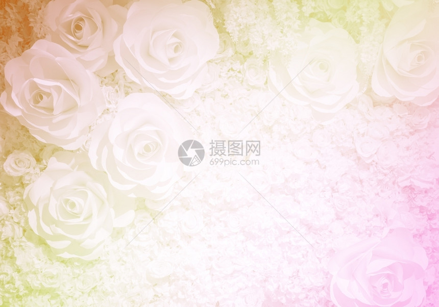 软过滤效果下的人工玫瑰花背景Name以软过滤效应方式墙纸美丽的图片