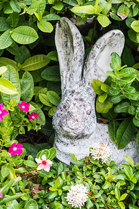 经过可爱的快乐由兔子娃装饰的花园图片