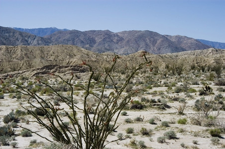 沙漠地貌的奥科蒂洛景观加利福尼亚岩石图片