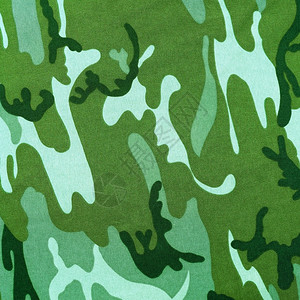 突击队绿色作为背景或模式的外来色彩迷服纺织品异国情调插画